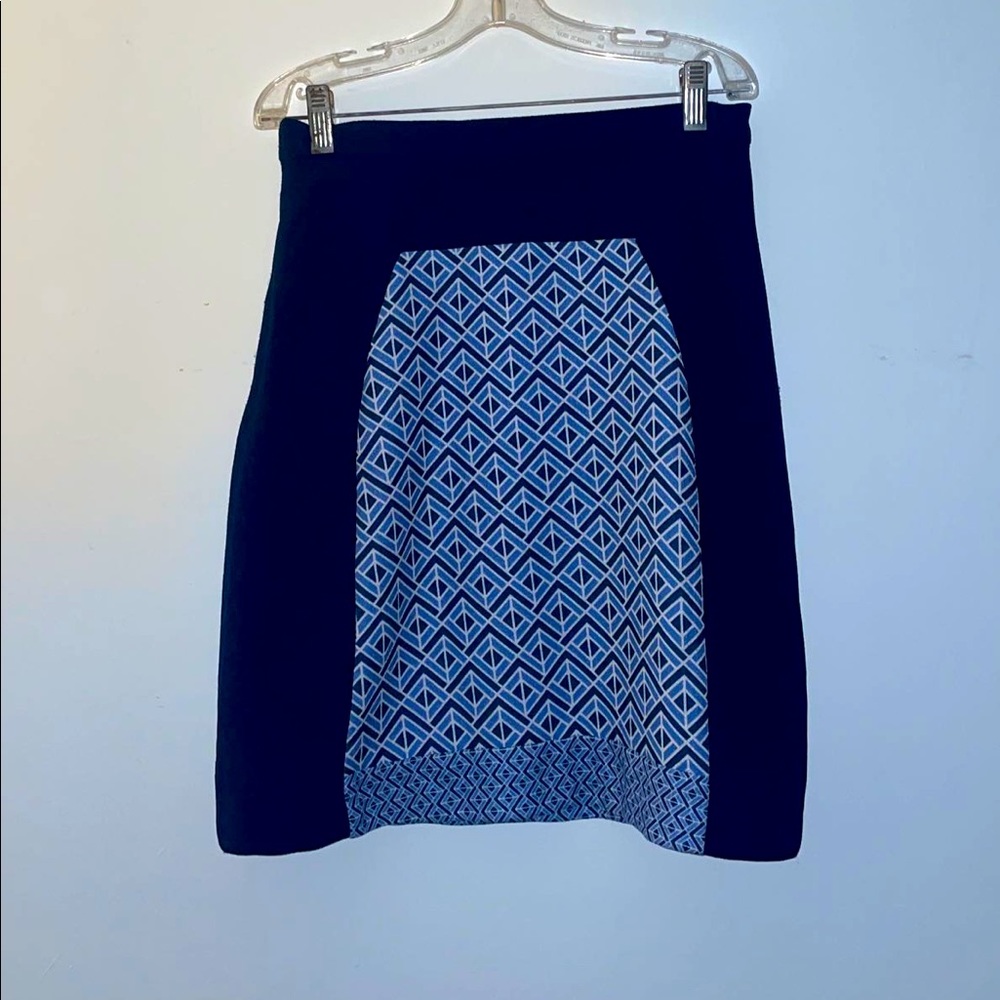 Pink Martini Skirt